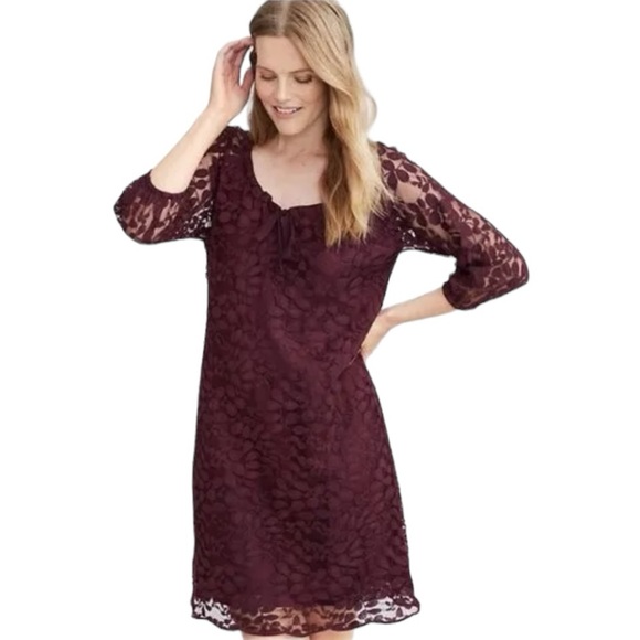 Garnet Hill Boheme Easy Lace Dress size 10 - Picture 12 of 13